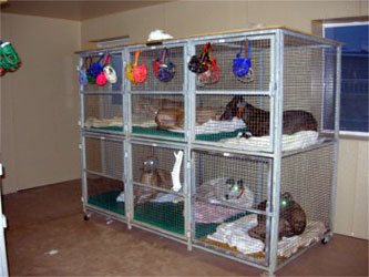 Almost Home for Hounds Facility